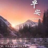 今年世界杯c罗几号球衣-世界杯赛场上的传奇，C罗的7号球衣